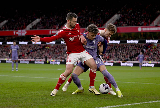 味着不仅能 味着不仅能